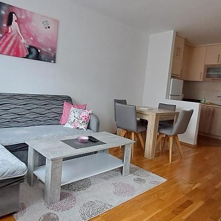 Appartamento Stan Na Dan Nevena Lukavica Esterno foto
