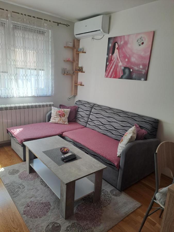 Appartamento Stan Na Dan Nevena Lukavica Esterno foto